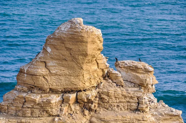 Katedralen i Paracas National Reserve, Peru — Stockfoto