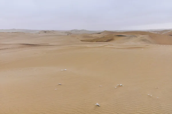 Arid landscape in the Huacachina desert, Peru — Stock Photo, Image