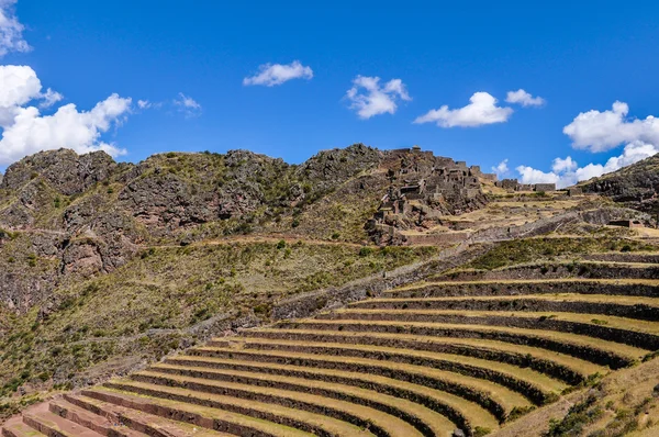 Terasy Pisac, Sacred Valley, Peru — Stock fotografie