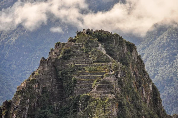 Wayna Picchu en Machu Picchu, la ciudad sagrada de los Incas, Perú —  Fotos de Stock