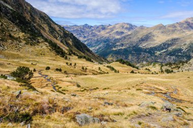 Sakin akarsu Vadisi Estanyo nehir, Andorra