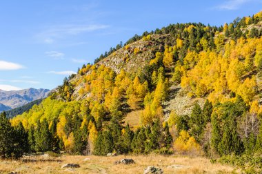 Renkli sonbahar manzara Vadisi Estanyo nehir, Andorra