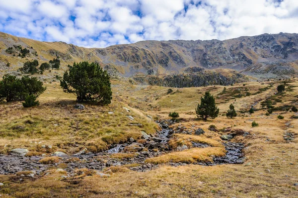 Ruhiger strom im tal des flusses estanyo, andorra — Stockfoto