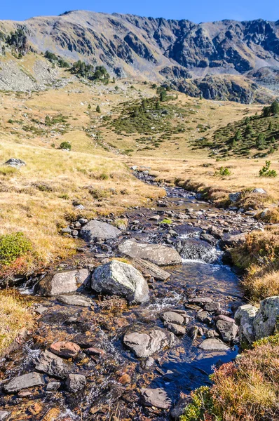 安静的小溪，在安道尔 Estanyo 河流域 — 图库照片