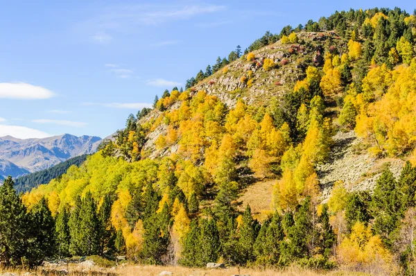 Renkli sonbahar manzara Vadisi Estanyo nehir, Andorra