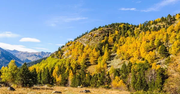 Paysage d'automne coloré dans la vallée de l'Estanyo, Andorre — Photo