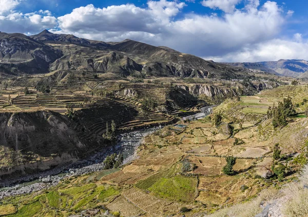 Vista panorámica de las terrazas en el Cañón del Colca, Perú —  Fotos de Stock