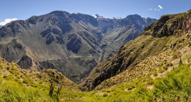 Peru Colca kanyonda panoramik manzaralı