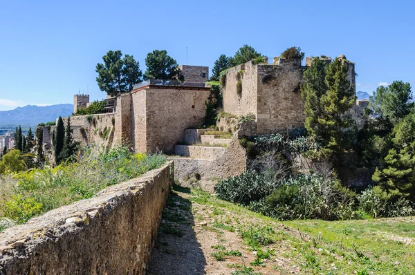 壁とトルトサ、スペインの城で要塞 — ストック写真