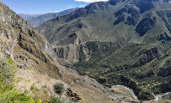 Vista panorámica del Cañón del Colca en Perú — Foto de Stock