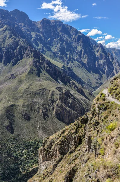 Profundidad del Cañón del Colca en Perú —  Fotos de Stock