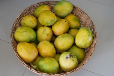 Peter Mango