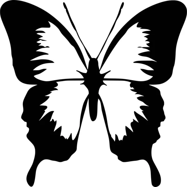 Vektor Silhouette Des Schmetterlings Auf Weißem Hintergrund — Stockvektor