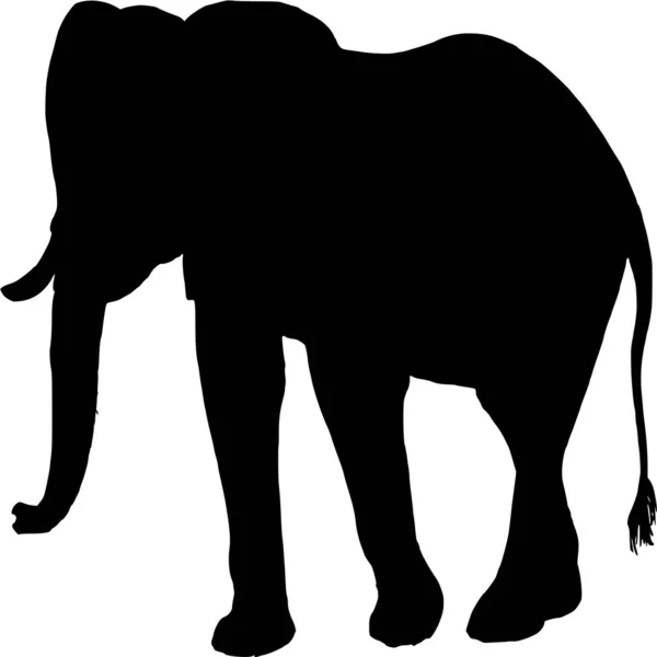 Vector Silhouet Van Olifant Witte Achtergrond — Stockvector