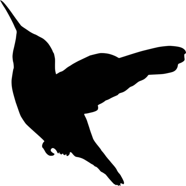 Silhouette Vectorielle Colibri Sur Fond Blanc — Image vectorielle