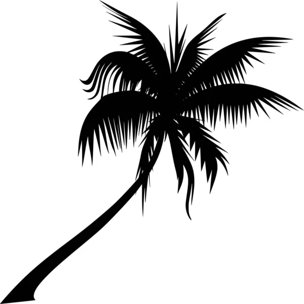 Sílhueta Vetorial Palmeira Sobre Fundo Branco —  Vetores de Stock