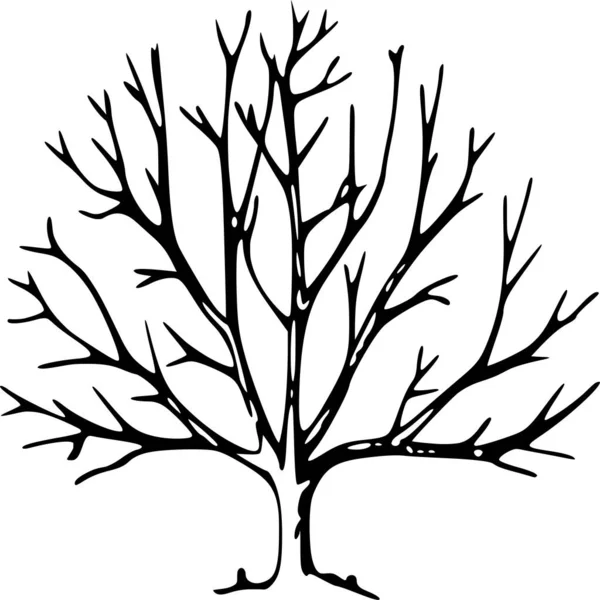 Векторний Силует Дерева Білому Тлі — стоковий вектор