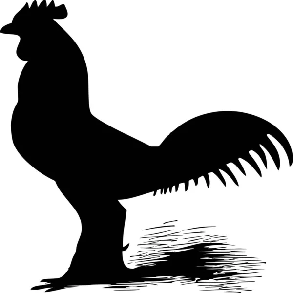 Vector Silhouette Rooster White Background — Stock Vector