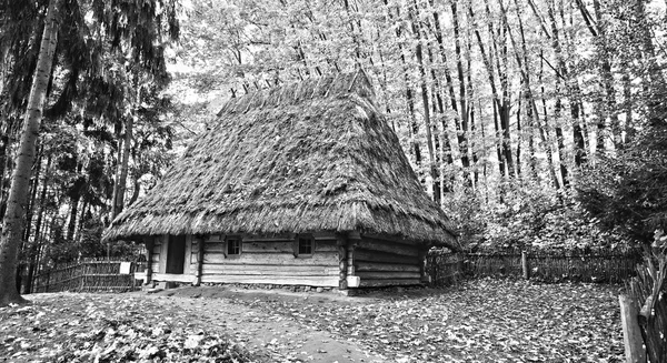 De oude houten huis in hout — Stockfoto