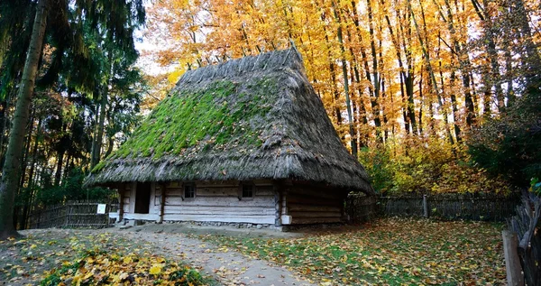 De oude houten huis in hout — Stockfoto