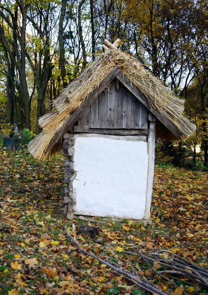 Rieten dak van het oude huis — Stockfoto