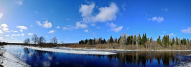Orman gökyüzünün yansıması