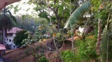 Panama, Orta Amerika 'yı Güney Amerika' ya bağlayan ve aynı zamanda Atlantik Okyanusu 'nu Pasifik Okyanusu' ndan ayıran dar ve ilginç bir şekilde kıvrımlı bir isthmus 'a sahip bir ülkedir..