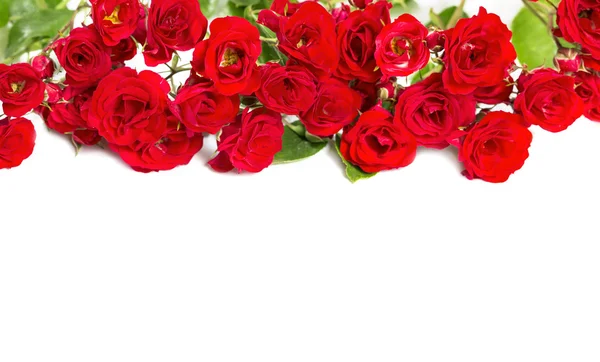 Bukett rosor - element för blommiga teman. — Stockfoto