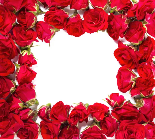 Buquê de rosas dispostas para formar um quadro ou elemento de design para temas florais — Fotografia de Stock