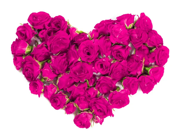 Ramo de rosas - elemento de diseño para temas florales . — Foto de Stock