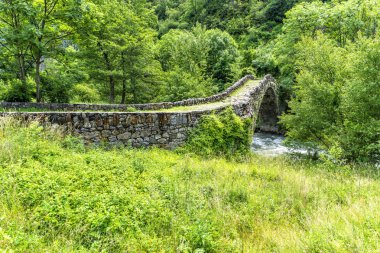 Nehri yaz ormandaki yaşlı taş köprü. 