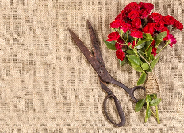 Buquê de rosas vermelhas e tesouras enferrujadas velhas em fundo de juta rústica . — Fotografia de Stock