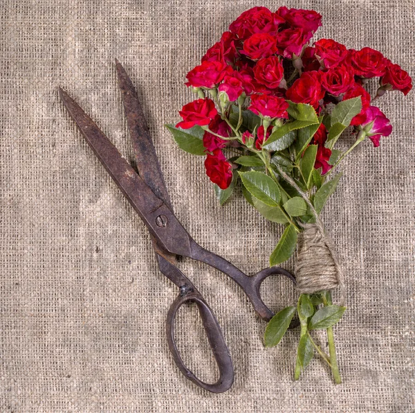 Buquê de rosas vermelhas e tesouras enferrujadas velhas em fundo de juta rústica . — Fotografia de Stock
