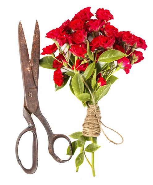 Buquê de rosas vermelhas e tesouras enferrujadas velhas isoladas em b branco — Fotografia de Stock