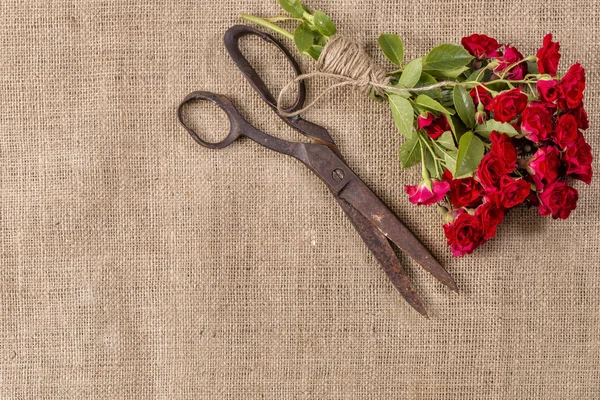 Jüt arka plan üzerinde kırmızı güller ve eski paslı makas buket — Stok fotoğraf