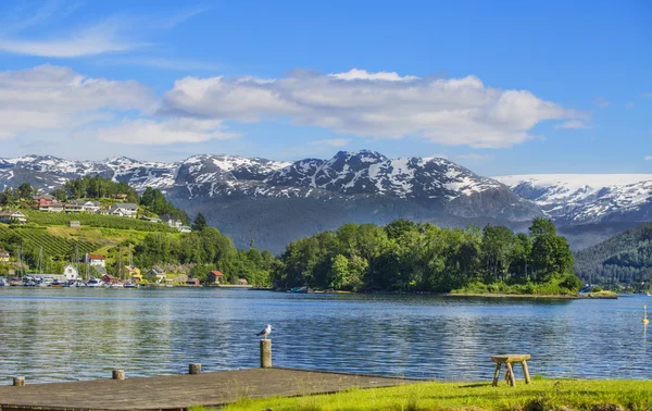 Pohled z Norska. Tvrdý Fiord. Norsko. — Stock fotografie