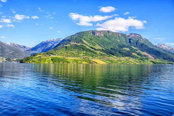 Weiden en dorp op Hardanger fjord. — Stockfoto