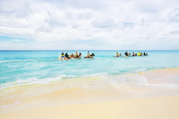 Grupa turystów konie w Morzu Karaibskim na pół Moo — Zdjęcie stockowe