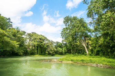 Vahşi Jamaika Martha Brae Nehri boyunca. 