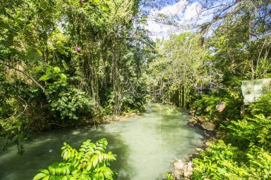 Vahşi Martha Brae Nehri, Falmouth, Jamaica