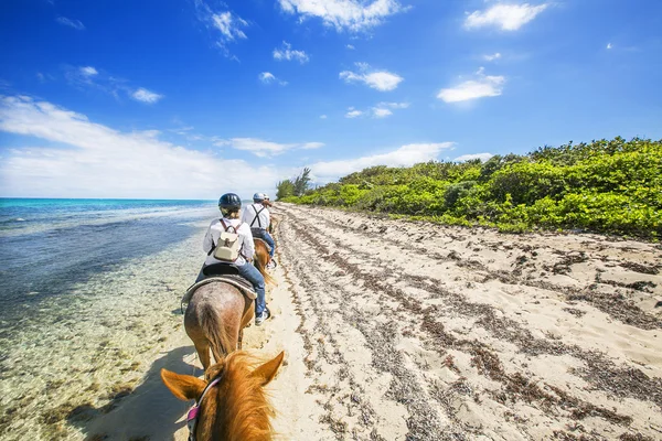 Ludzi, jazda na koniu z powrotem na karaibskiej plaży. Wielki Kajman — Zdjęcie stockowe