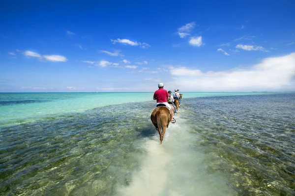 La gente va a cavallo sulla spiaggia dei Caraibi. Grand Cayman — Foto Stock