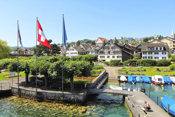 Krásný výhled na Curych a jezero, Švýcarsko. — Stock fotografie