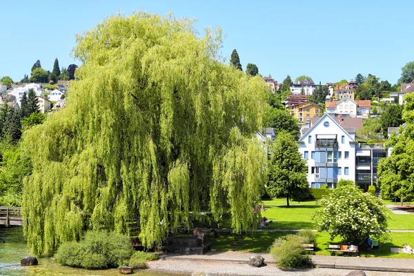 Belle vue sur Zurich et le lac, Suisse . — Photo