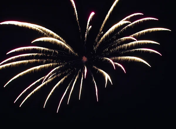 Fuegos artificiales de colores en el cielo nocturno. —  Fotos de Stock