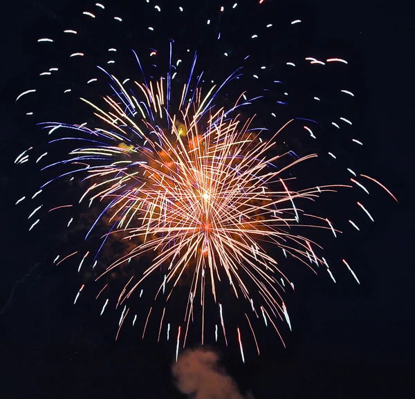 Fuegos artificiales de colores en el cielo nocturno. —  Fotos de Stock