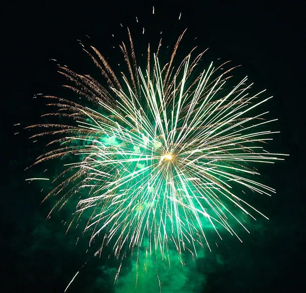 Fuegos artificiales de colores en el cielo nocturno. —  Fotos de Stock