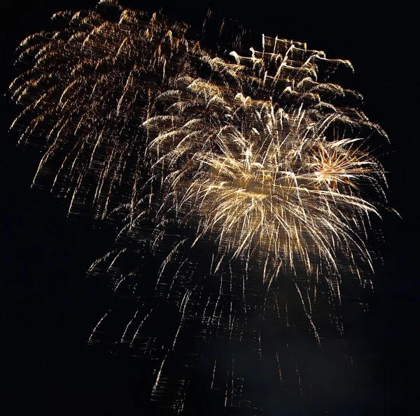 Fuegos artificiales de colores en el cielo nocturno. —  Fotos de Stock