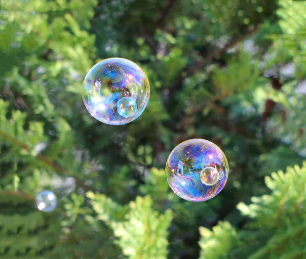 As bolhas de arco-íris do soprador de bolhas — Fotografia de Stock