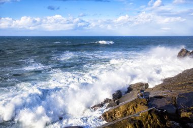 Dalgalar kayalık sahillere çarpıyor..